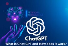 What Is Chat GPT, Future Of Chat GPT?